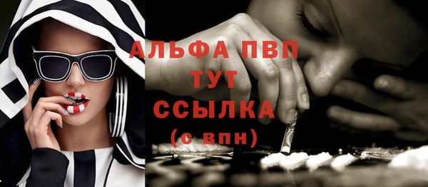 спайс Арсеньев