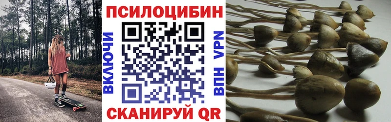 Галлюциногенные грибы MAGIC MUSHROOMS  наркошоп  Меленки 